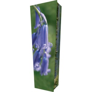 Bluebell Nature - Personalised Picture Coffin with Customised Design.